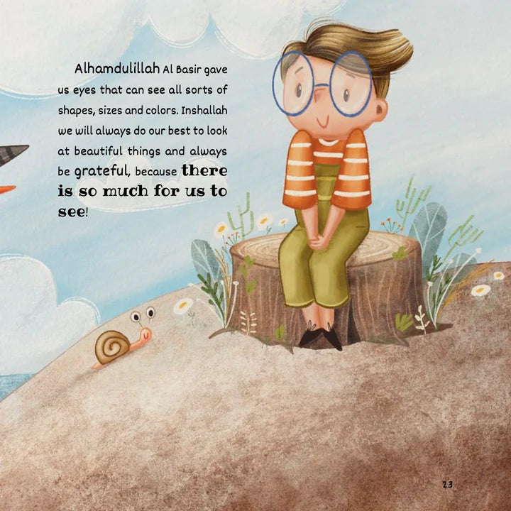 Who Sees The Best? | Rabia Karzan