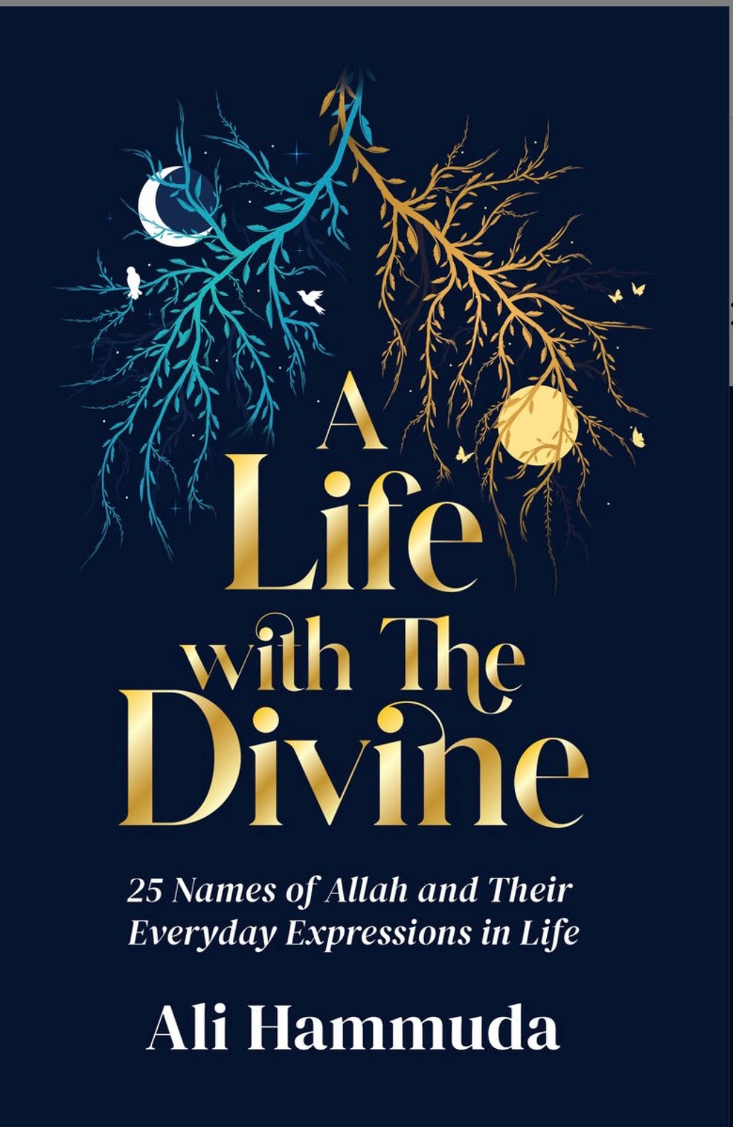 A Life with the Divine, 25 Names of Allah and their everyday expressions in life | Ali Hammuda