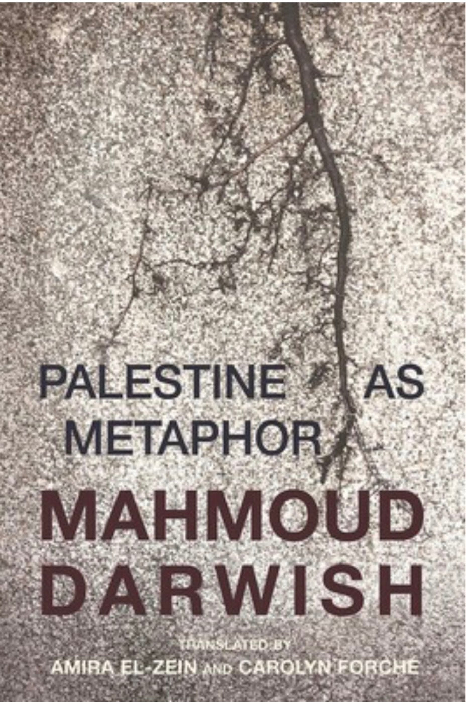 Palestine as a Metaphor | Mahmoud Darwish
