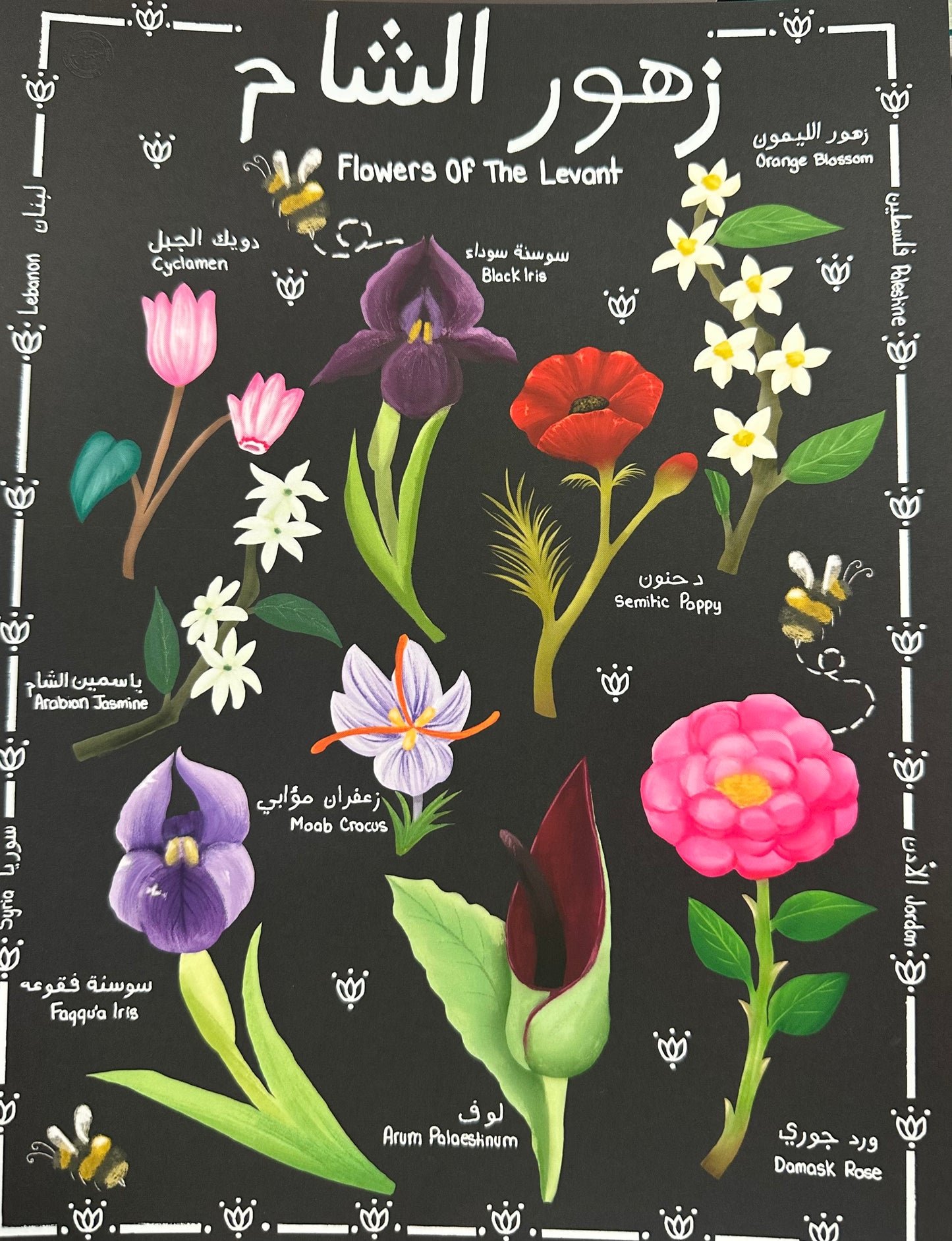Flowers of the Levant Print - Bint El Fenn
