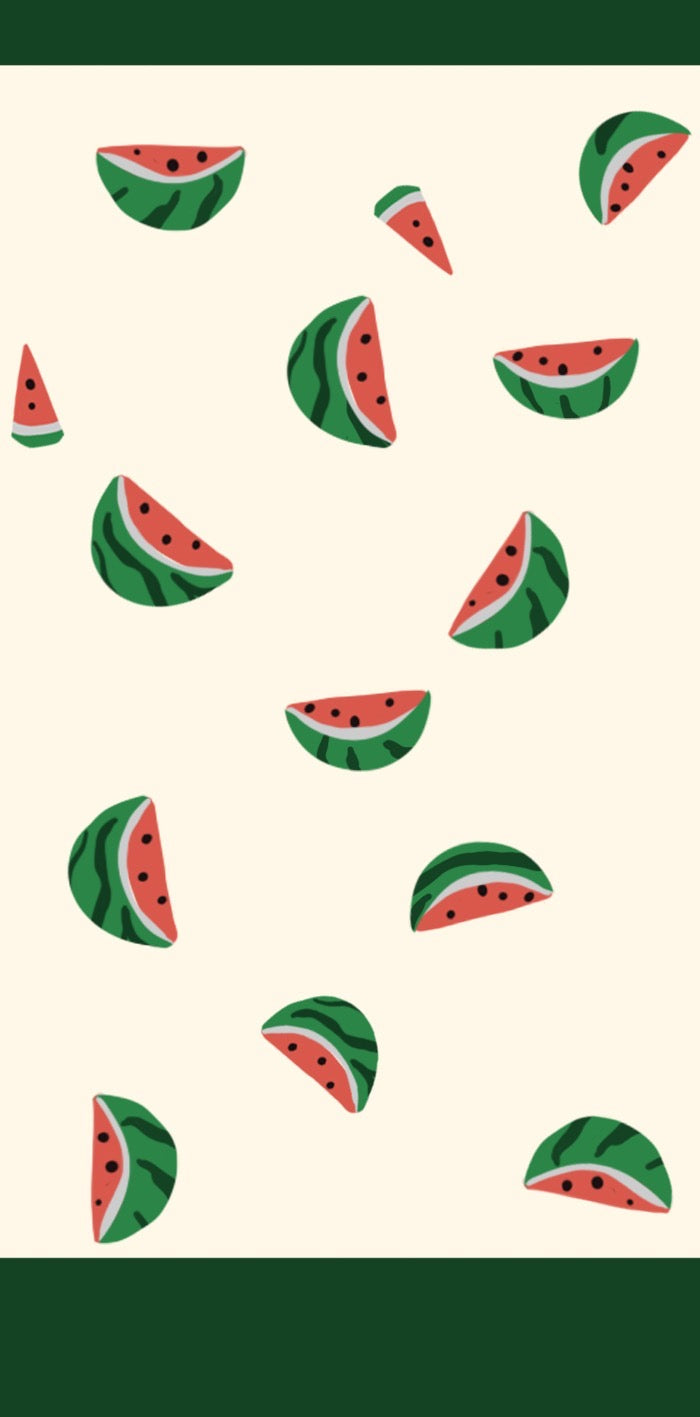 Watermelon Palestine Adult Socks | Pink Lion Socks
