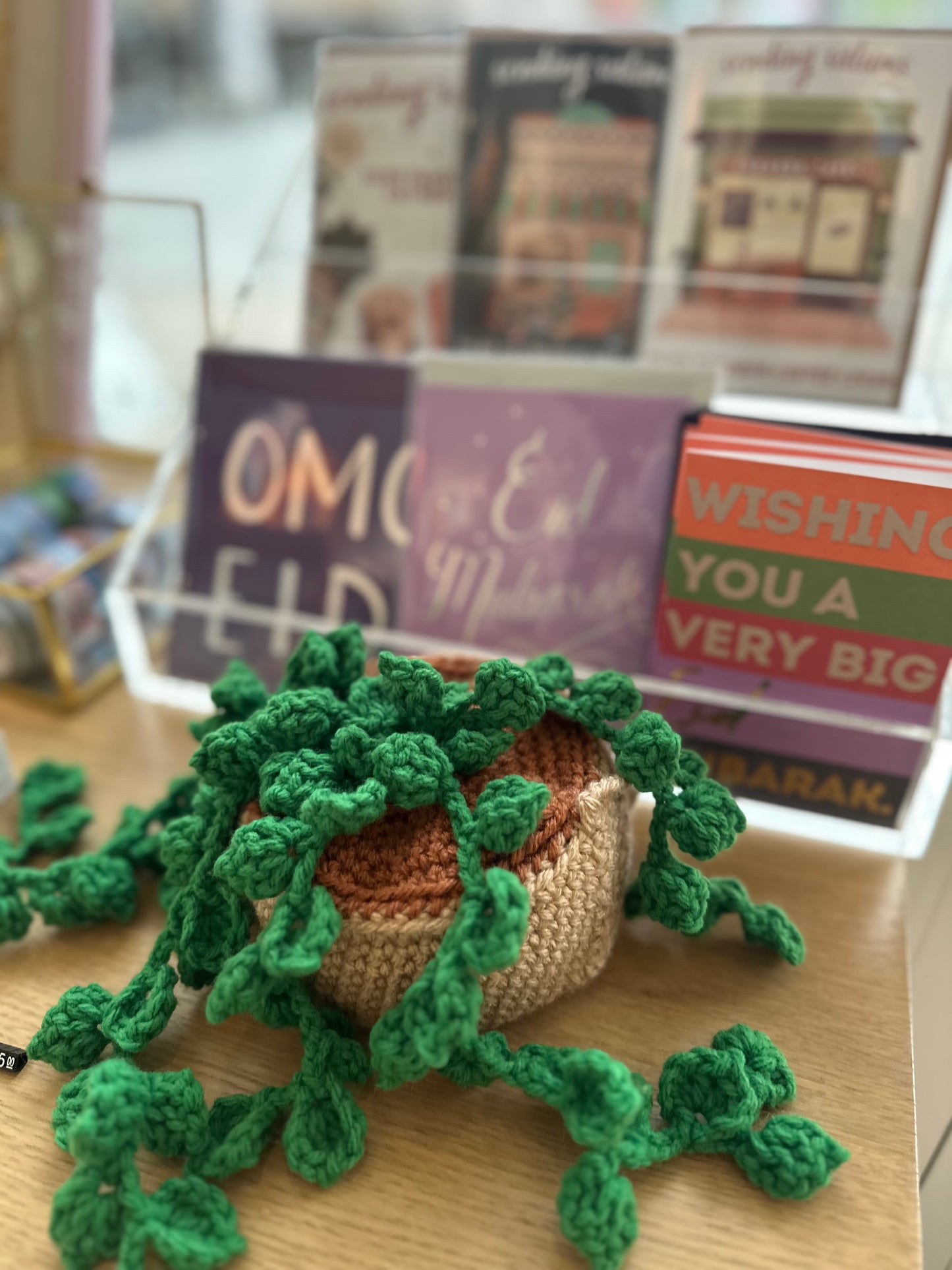 Hanging Plant (Crochet)