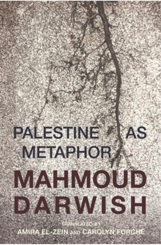 Palestine as a Metaphor | Mahmoud Darwish