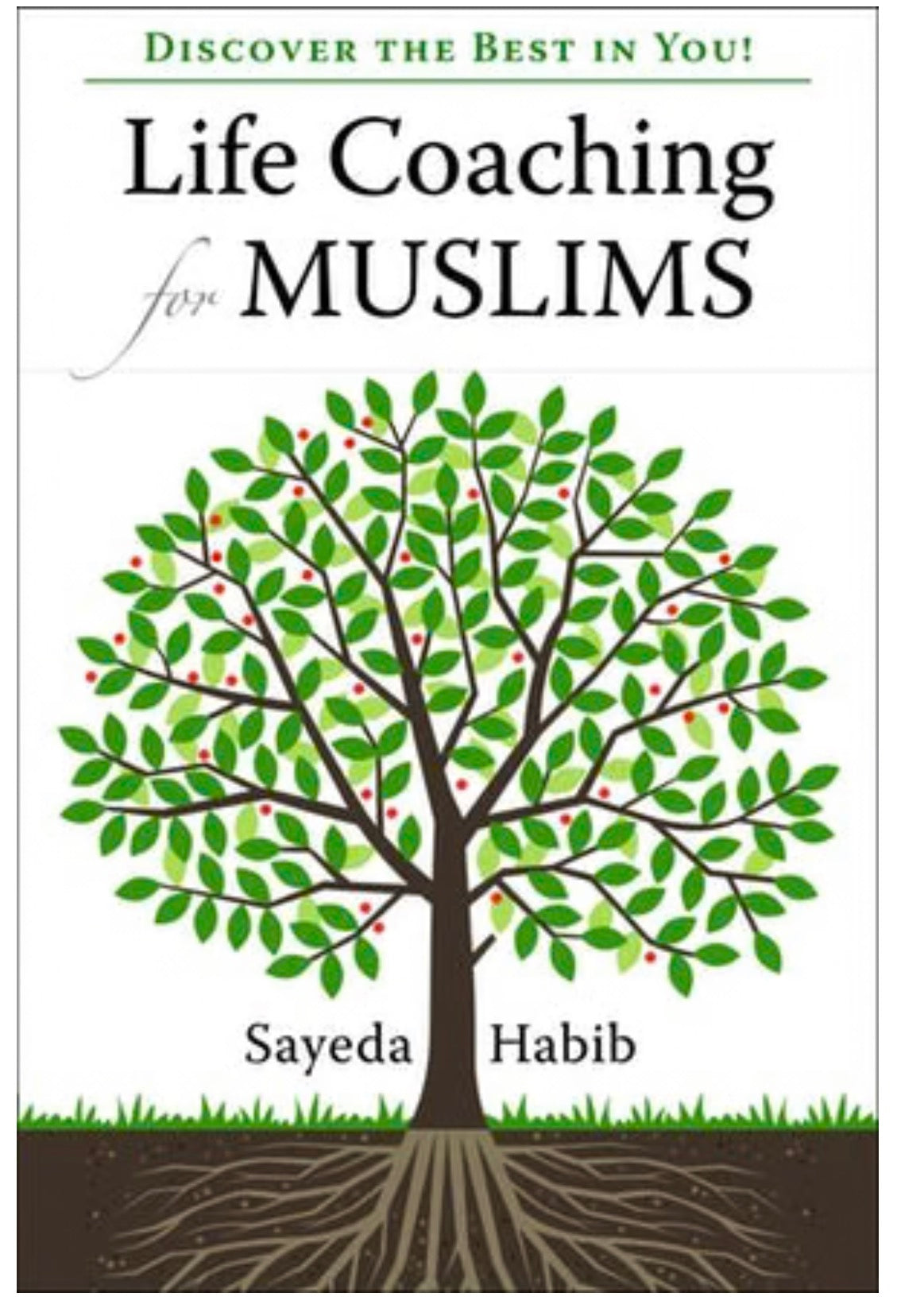 Life Coaching for Muslims | Sayeda Habib