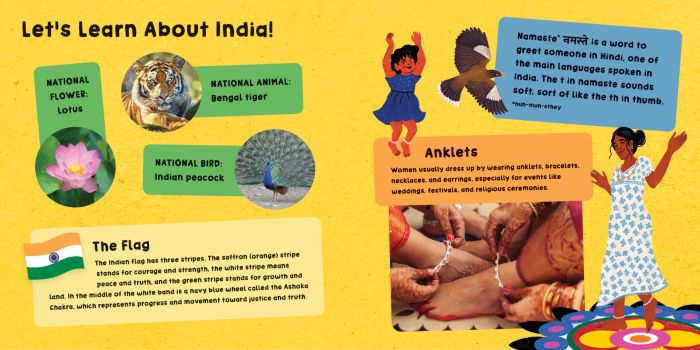 Our World: India | Meera Sriram