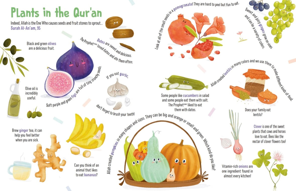 first-words-from-the-quran-childrens-islamic-board-book-jenny-molendyk-divleli-1